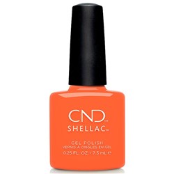 Shellac - B-Day Candle